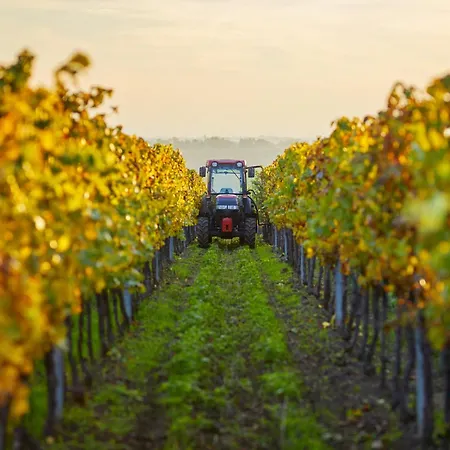 Appartement Maisonnette - Proximité Ville&tram *